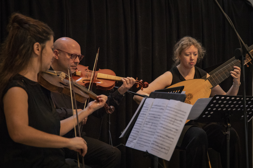 Le Galline Pensierose - Luigi Malerba