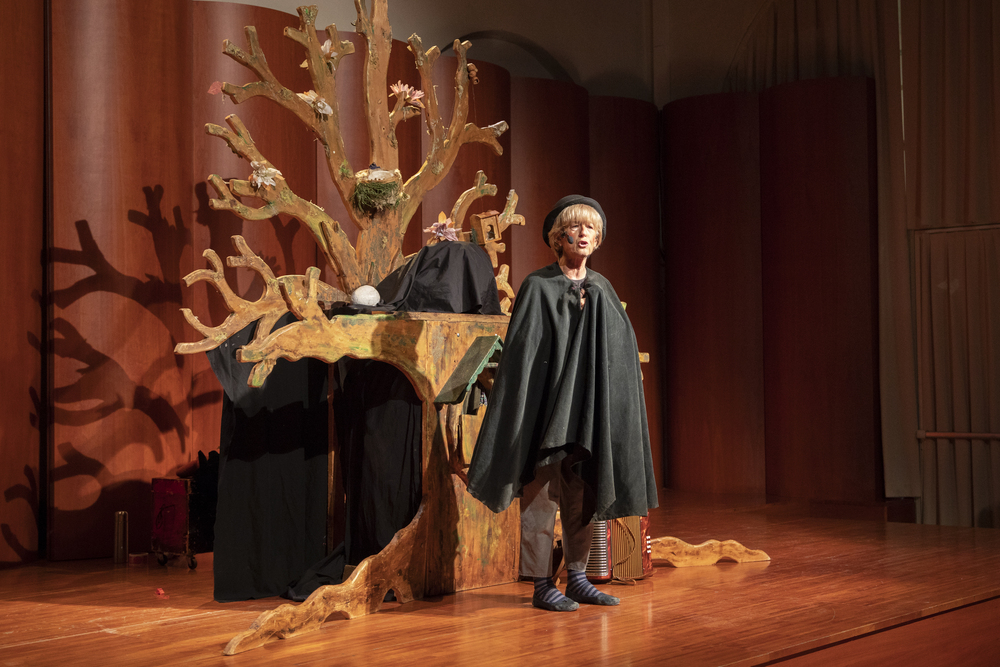 Storie di un albero - Lucia Osellieri